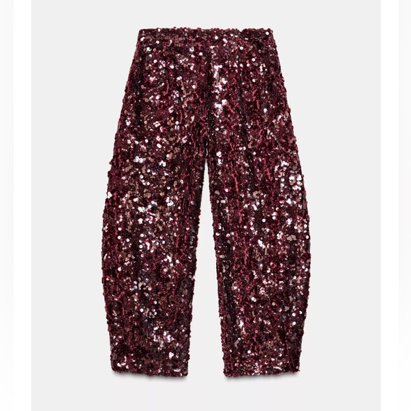 Zara Burgundy Sequin Pants - Picture 7 of 11